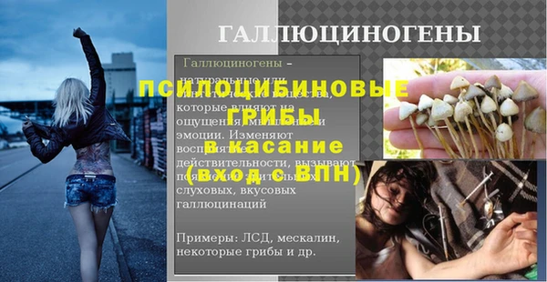 spice Белокуриха